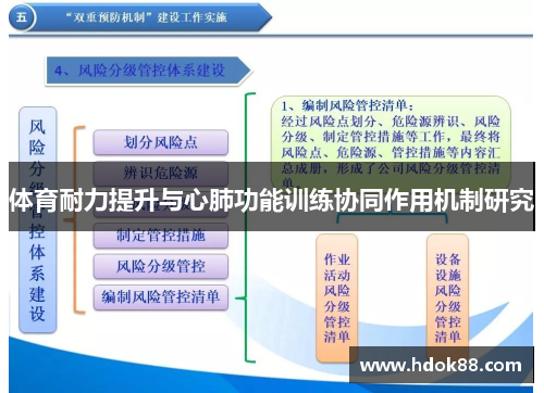 体育耐力提升与心肺功能训练协同作用机制研究